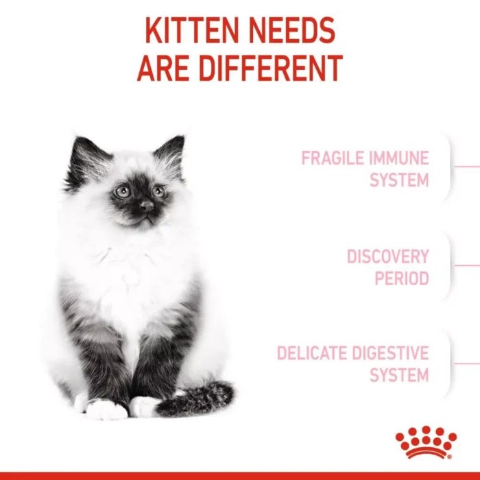 my-11134207-7r98y-lpg91hlo30s8a2-1.webp FELINE CARE NUTRITION - HAIR & SKIN 33 4KG
