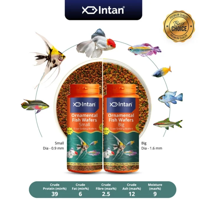 my-11134207-7rase-m1pviyo5i2oa29.webp Intan - Ornamental Fish Wafers 🐠 Premium Fish Food - Player Choice For Angels, Gouramis, Goldfish, Barbs, Rainbow